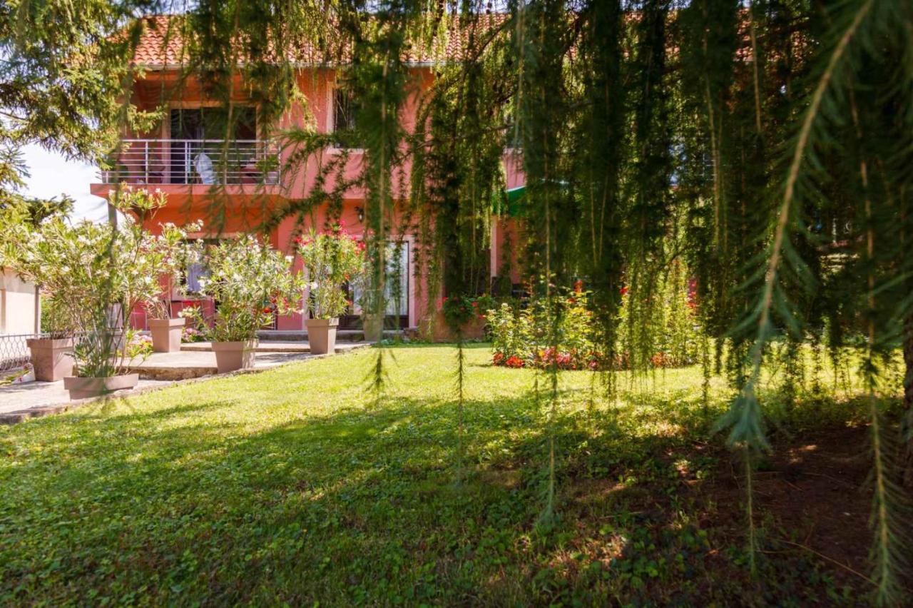Studio 1 Golubac Exteriér fotografie